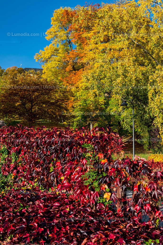 100494-3922 - Barockgarten Blankenburg | max. Bildgröße A2 | 300dpi - Realisiert mit Pictrs.com