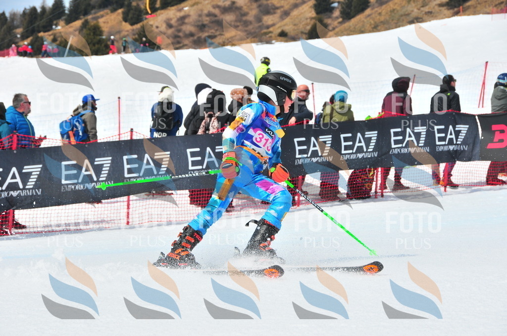 DSC_6663 | holidayphoto