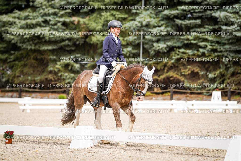 DSC04463 | Pferdegrafie