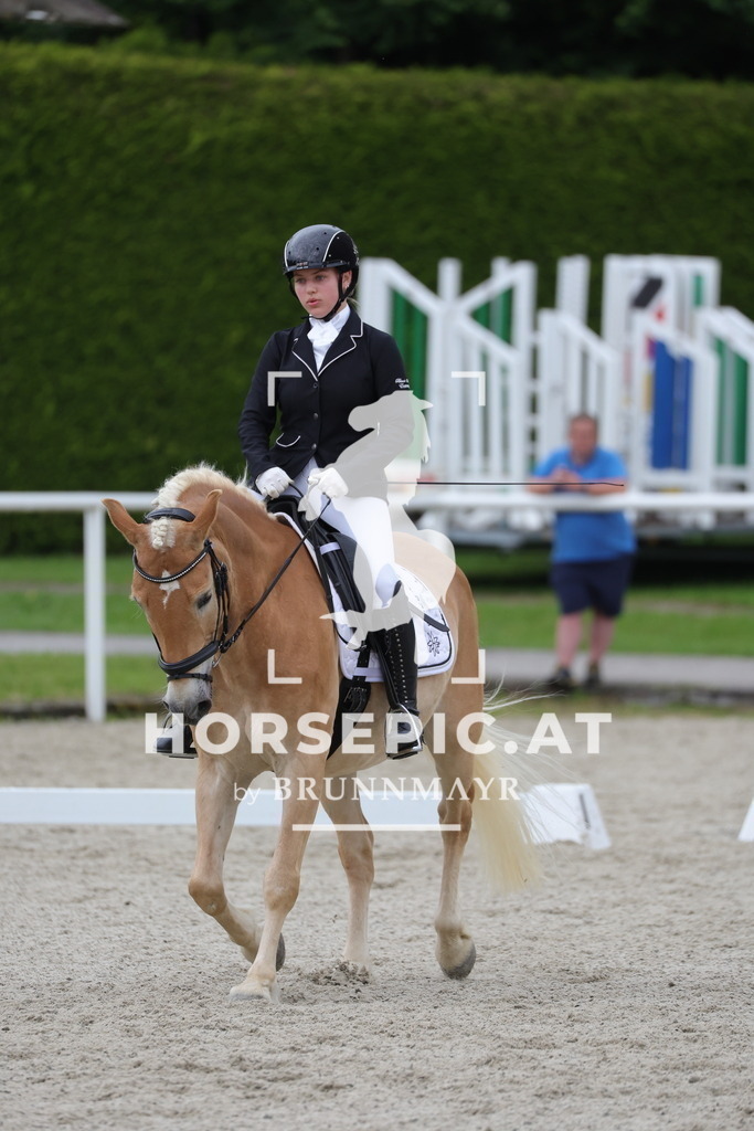 0P6A5195 | Willkommen bei Brunnmayr - Design & Fotografie – Ihrem Spezialisten für Reitturniere und Pferdeveranstaltungen in Oberösterreich, Salzburg und Bayern! Seit über 17 Jahren sind wir leidenschaftlich dabei.