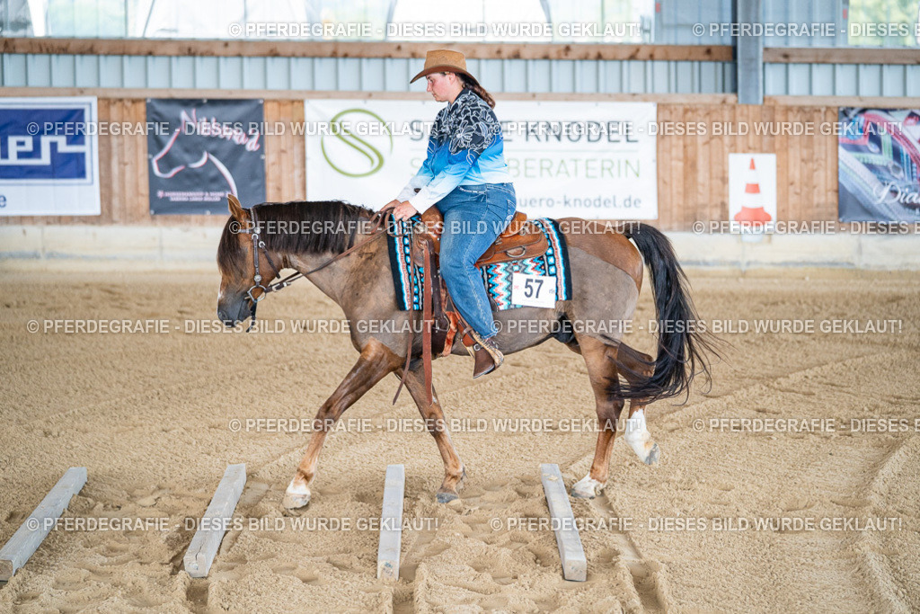 DSC01701 | Pferdegrafie