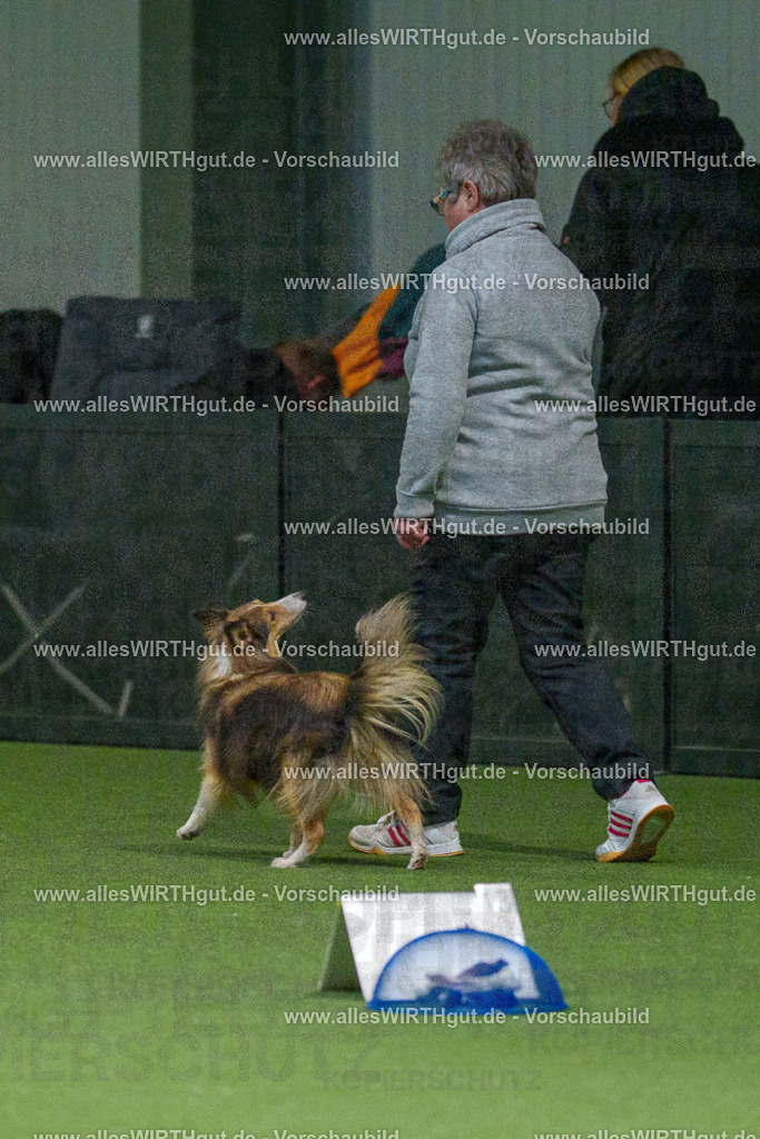 7R504845 | Professionelle Tierfotografie in Mönchengladbach von Daniel Wirth (allesWIRTHgut). Liebevolle & natürliche Bilder von Hunden & Katzen für unvergessliche Erinnerungen.