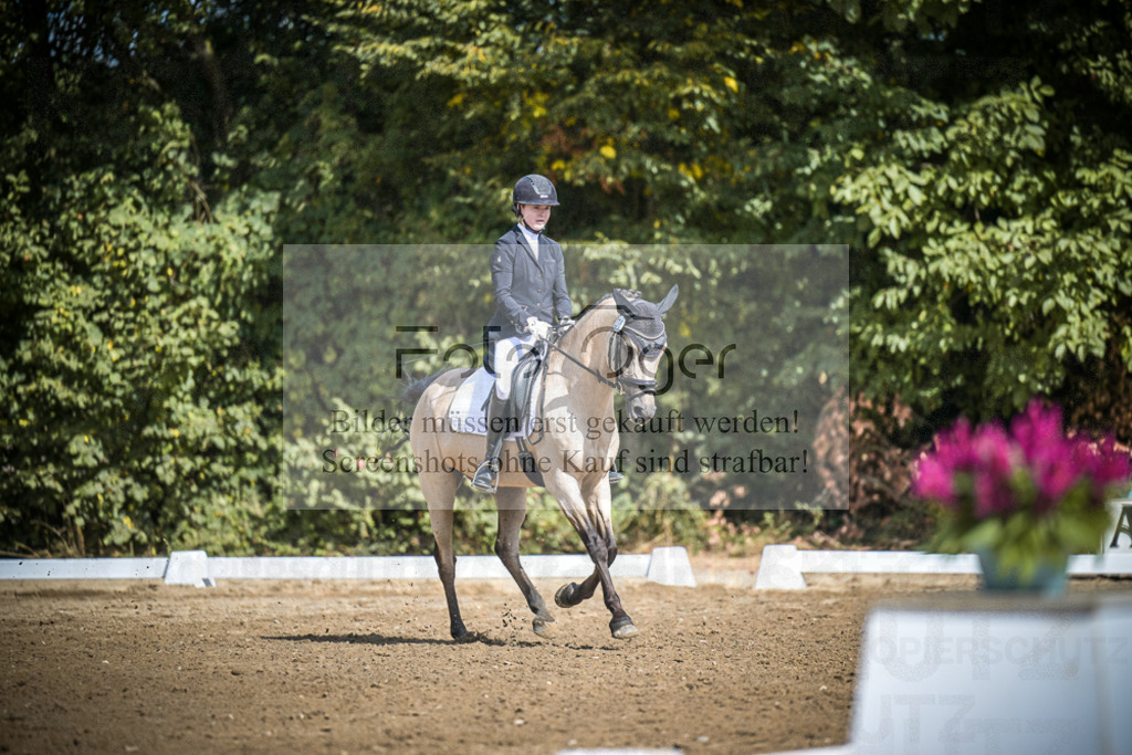 DOS_0747 | Entdecke hochwertige Reitturnierfotos von Foto Oger. Professionell, emotional und authentisch – jetzt Lieblingsmomente im Shop bestellen.Deutschlandweite Turnierfotografie. - Realisiert mit Pictrs.com