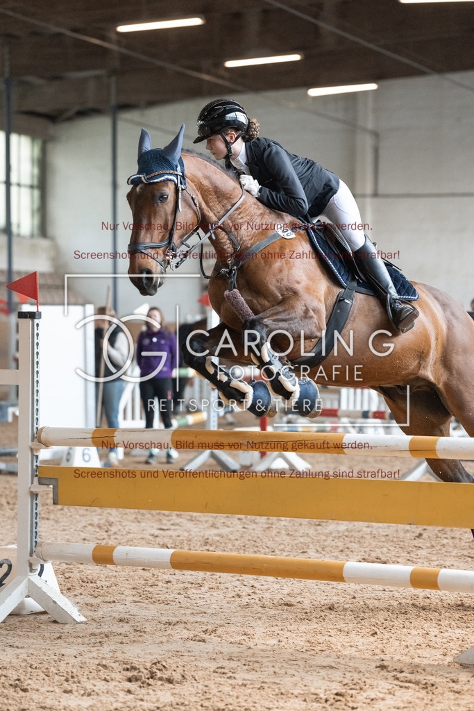 DSC00369 | Reitturnier_Göppingen_April_2026, Franziska_Pfrommer, Nabalu_2