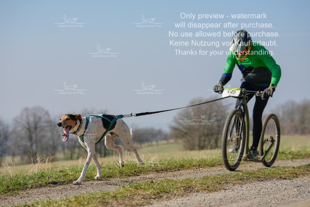 Scooter_Lang-12 | stephaniefillaphotographie - Realisiert mit Pictrs.com