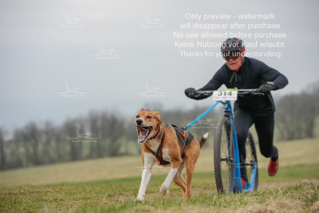 ScooterSA-61 | stephaniefillaphotographie - Realisiert mit Pictrs.com