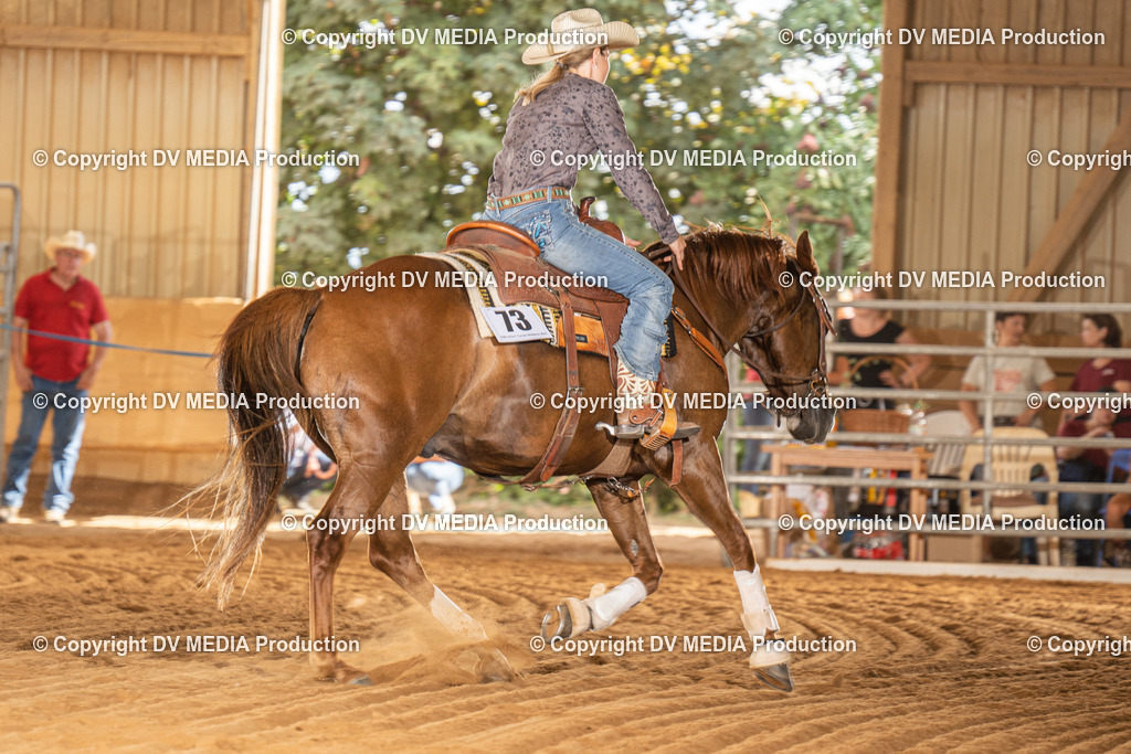 NID02285 | dv-media-shop - Realisiert mit Pictrs.com