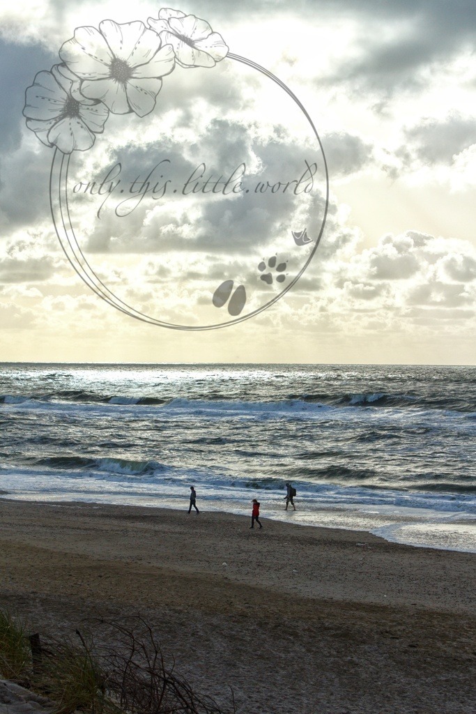 IMG_9807-01 | only.this.little.world - Realisiert mit Pictrs.com