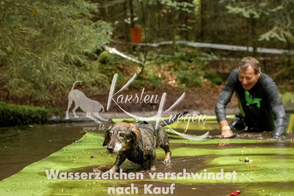 1224_ZZ94454-Bearbeitet | kk-dogfotos