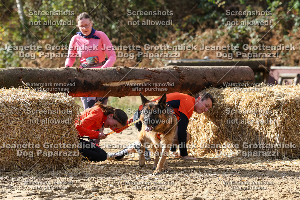 Dog Paparazzi - Strongdog 10-25-5524 | Dog Paparazzi Jeanette Grottendiek Fotografie & Videografie - Realisiert mit Pictrs.com