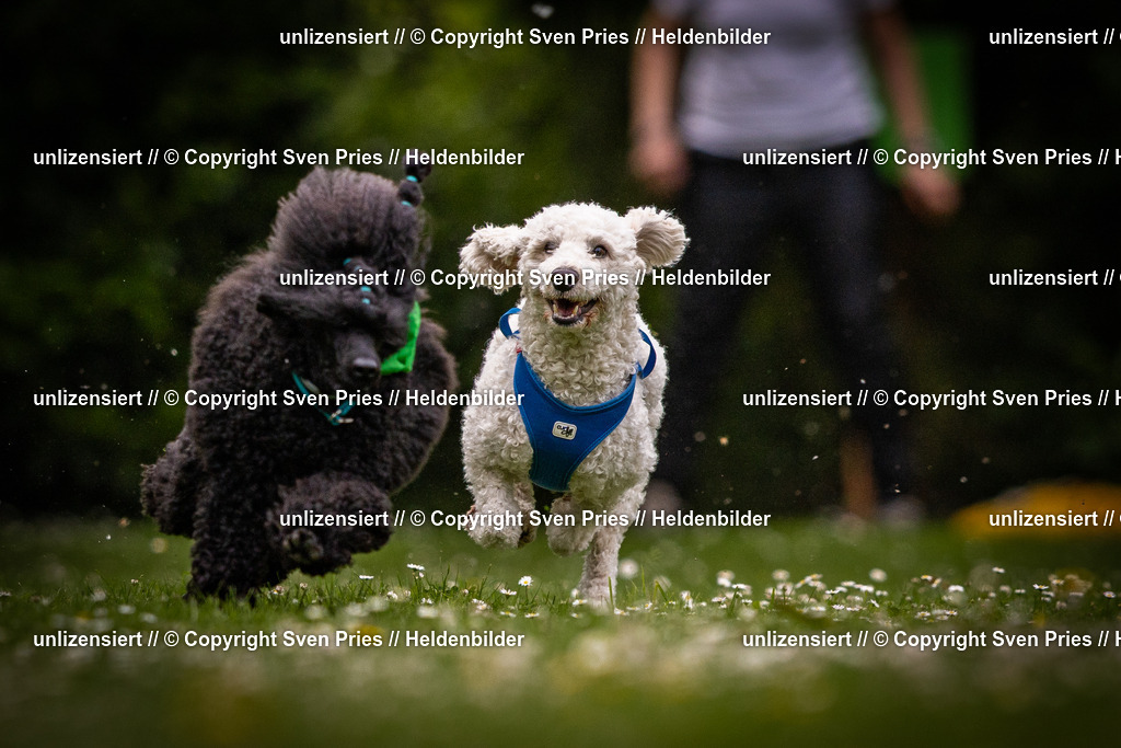 Sven Pries | 2025-05-29 - Pudelrennen KA-Durlach - Realisiert mit Pictrs.com