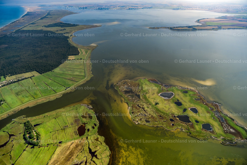 4061780 | Nationalpark Vorpommersche Bodenlandschft, ZINGST 08.09.2021 Salzgrasland und Vogelschutz- Gebiet in Zingst an der Ostseeküste im Bundesland Mecklenburg-Vorpommern, Deutschland.