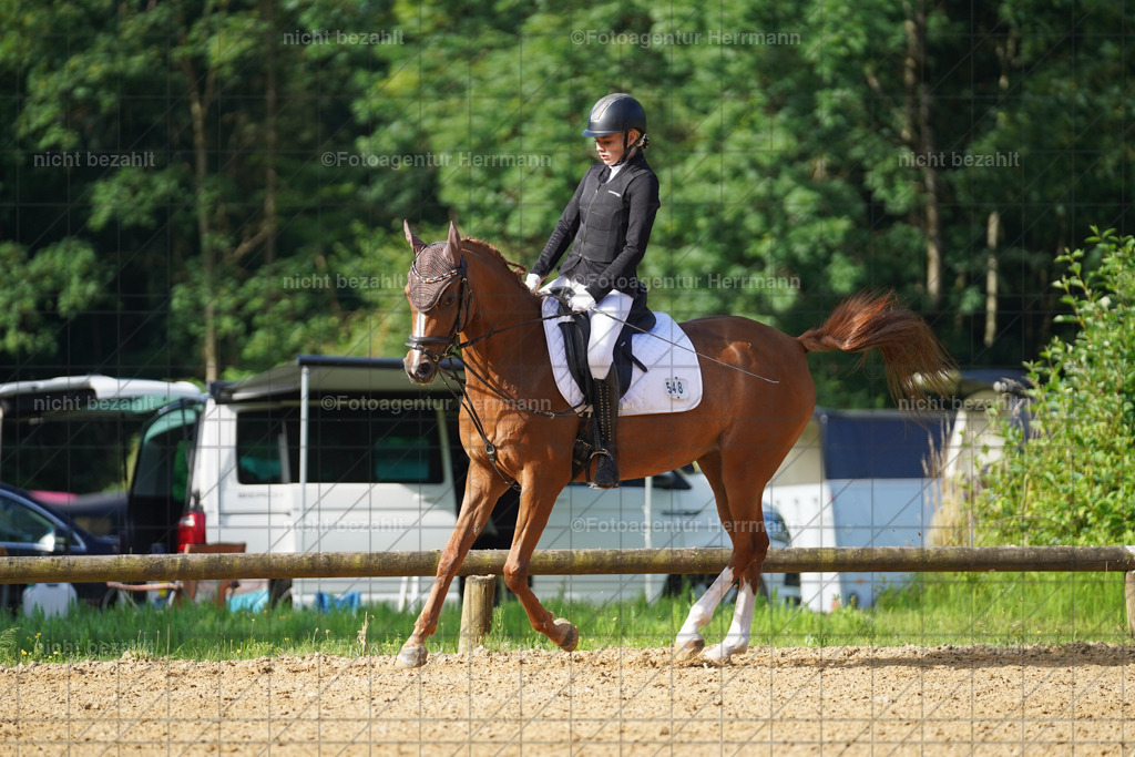 20240706-FAH04440 | Grafing Turnierfotos, Reitverein Ebersberg, Turnierfotografen Bayern, reitsportbilder, Pferdefotograf, reitsportfotograf, Sportbilder, Reitsportfotografie, Fotoagentur Herrmann, Turnierfotograf