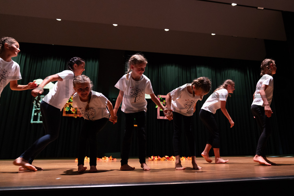 _DSC2017 | Tinu Müller Fotografie- Bildershop - Realisiert mit Pictrs.com