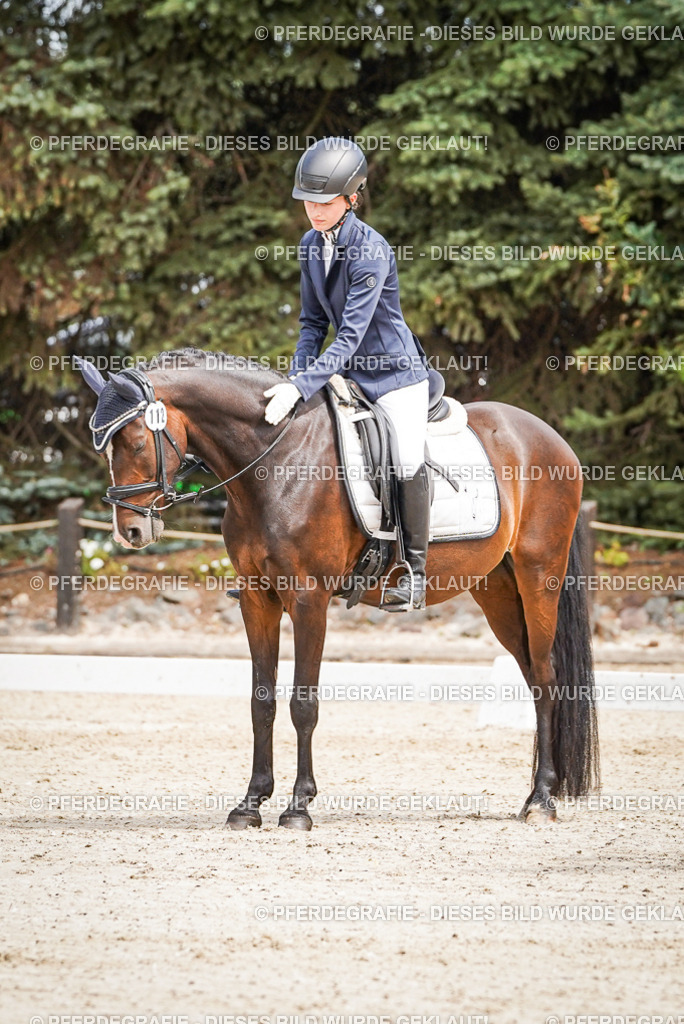 DSC02607 | Pferdegrafie