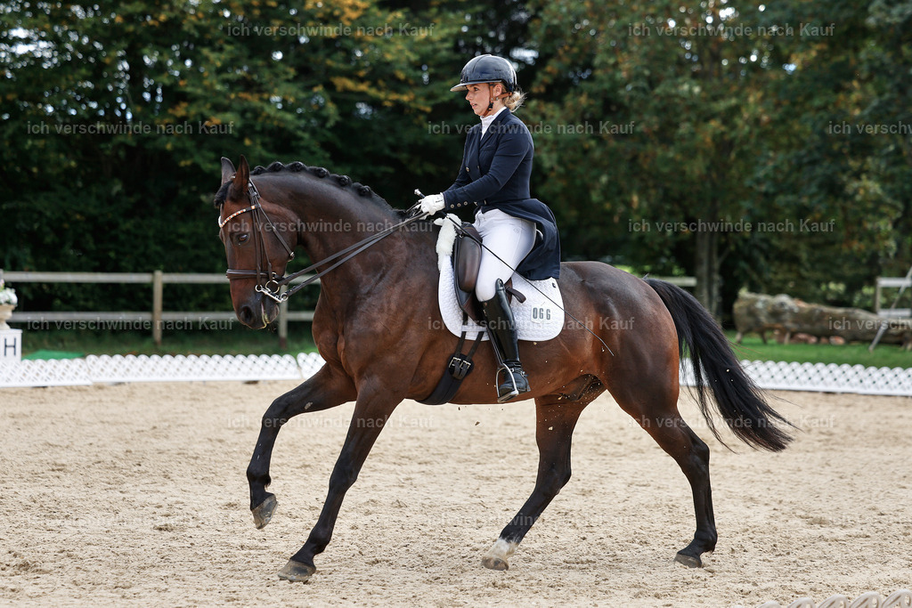 11-066-Dressur S___-StoibPH-1249 | working equitationturnier fotograf videograf stoibphotography marixx film working equitation deutschland reitsport turnierfotografie eventfotografie equestrian events