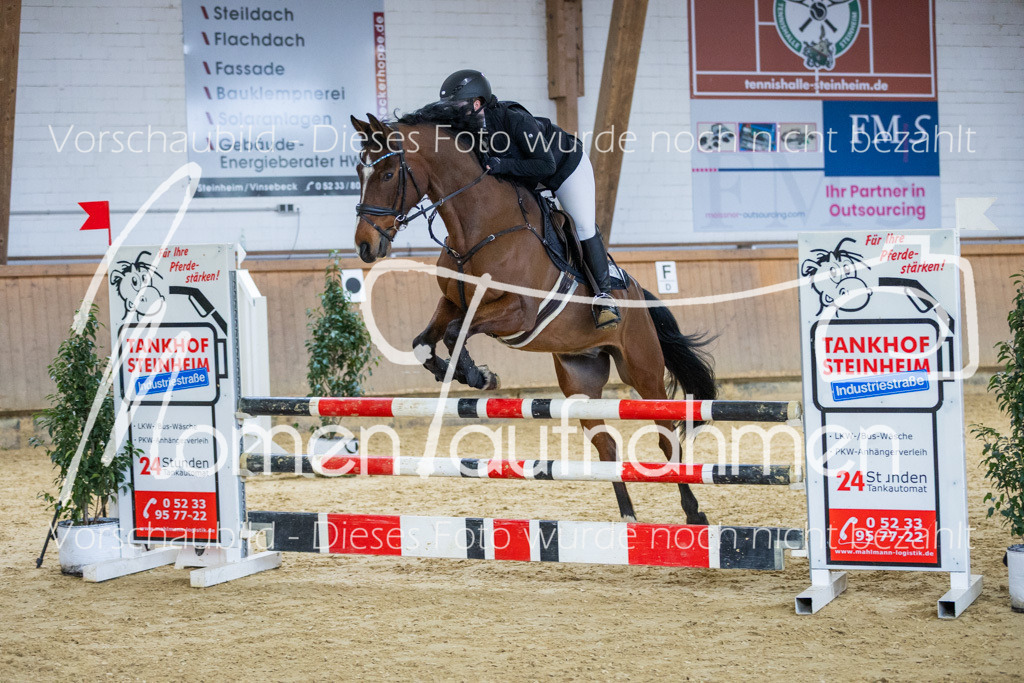 Sth-LPO25-A2St-031 | MomenTaufnahmen Pferdesportfotos