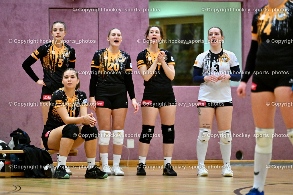ASKÖ Volley Eagles Villach vs. VC Hausmannstätten | Spielerbank ASKÖ Volley Eagles Villach, #11 Ilvie HOFER ASKÖ Volley Eagles Villach, #5 JANESCHITZ Johanna ASKÖ Volley Eagles Villach, #20 SALBRECHTER Sarah ASKÖ Volley Eagles Villach, #7 LUKSIC Vanja ASKÖ Volley Eagles Villach, #3 BUTTAZONI Sabrina ASKÖ Volley Eagles Villach, ASKÖ Volley Eagles Villach vs. VC Hausmannstätten, ASKÖ Volley Eagles Villach vs. VC Hausmannstätten am 01.02.2025 in Villach (Ballspielhalle Lind), Austria, (Photo by Bernd Stefan)