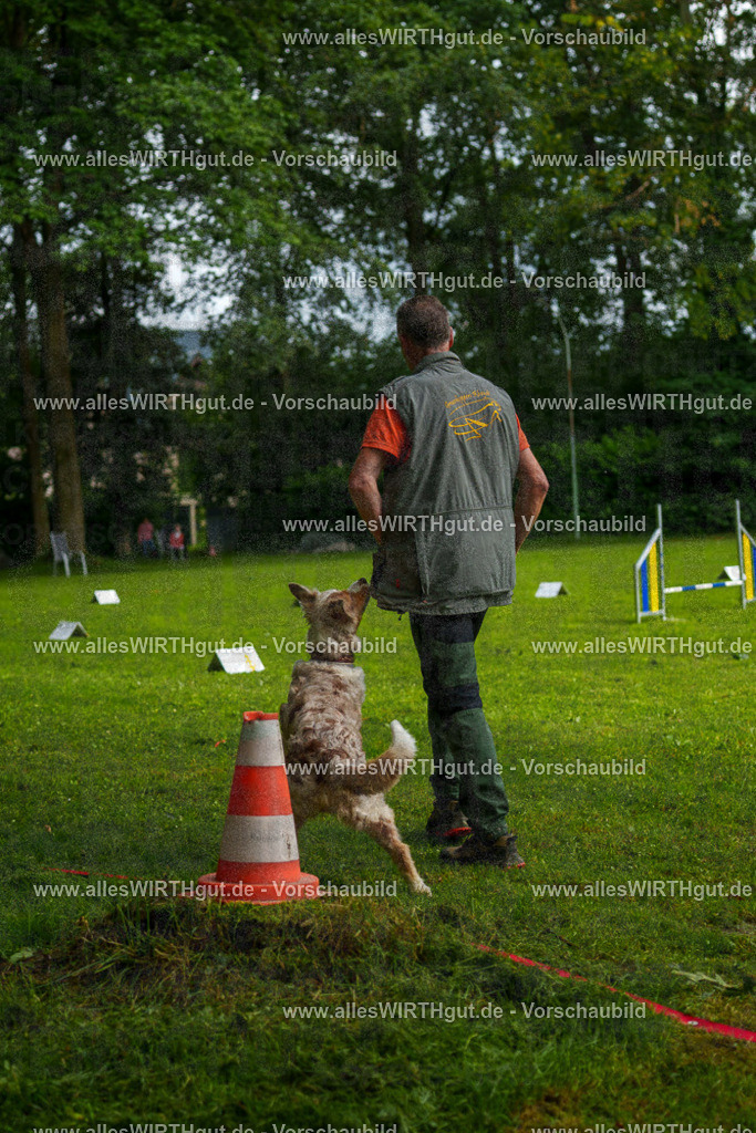 @allesWIRTHgut_Tierfotografie - www.allesWIRTHgut.de - 7R502933 | Professionelle Tierfotografie in Mönchengladbach von Daniel Wirth (allesWIRTHgut). Liebevolle & natürliche Bilder von Hunden & Katzen für unvergessliche Erinnerungen.