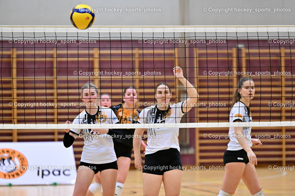 ASKÖ Volley Eagles Villach vs. TI- Schu Staudinger Volley 22.3.2024 | #25 Chiara SCHULER Villach ASKÖ Volley, 16##7 Nada FANIC Villach ASKÖ Volley, ASKÖ Volley Eagles Villach vs. TI- Schu Staudinger Volley 22.3.2024, ASKÖ Volley Eagles Villach vs. TI- Schu Staudinger Volley am 22.03.2024 in Villach (Ballspielhalle Lind), Austria, (Photo by Bernd Stefan)