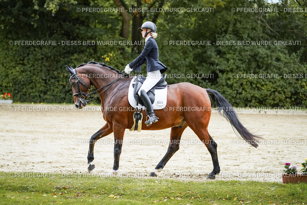 DSC09300 | Pferdegrafie