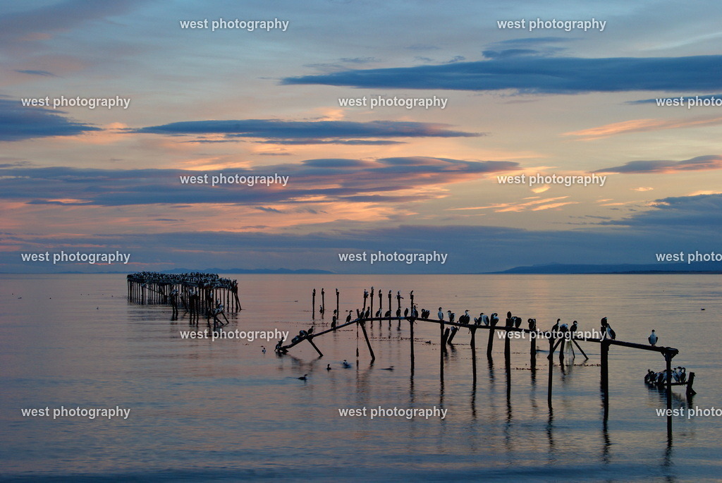 Estrecho de Magallanes - CHI 2011 | west photography - Realisiert mit Pictrs.com