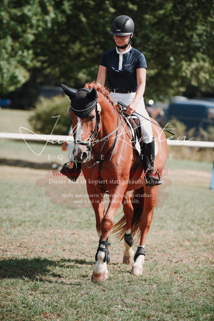 DSC_5581 | Pferde- und Turnierfotografie in Westsachsen. Pferdeportraits, Auftragszeichnungen und intuitive Kunst.