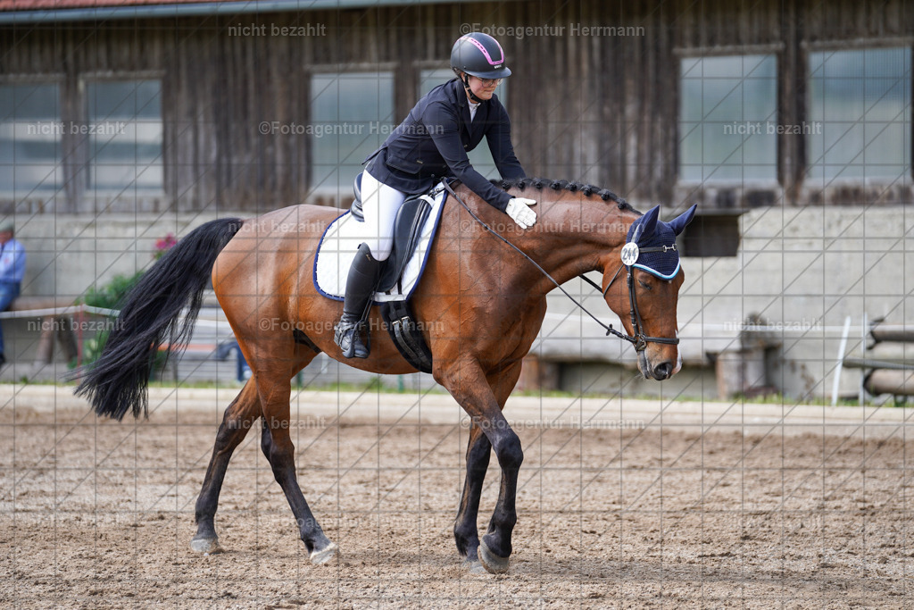 20240519-FAH05150 | Turnierbilder Niederseeon 2024, Vielseitigkeitsdressur, Reitsportbilder aus dem Landkreit Ebersberg, Gut Steinsee, RC Steinsee, Fotoagentur Herrmann