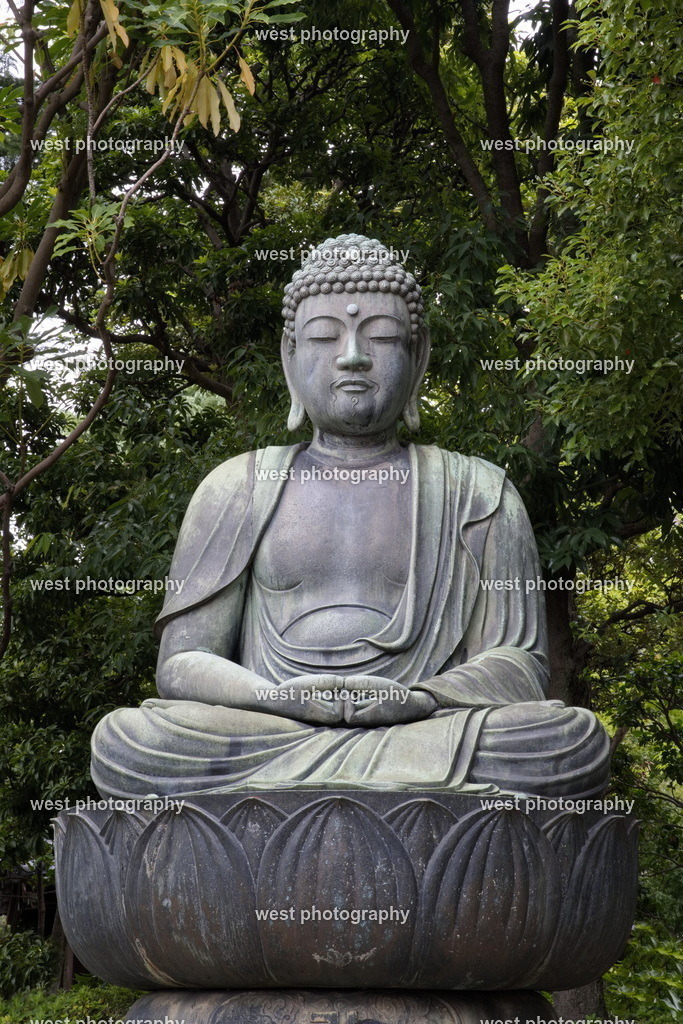 Amida Buddha - JPN 2025 | west photography - Realisiert mit Pictrs.com