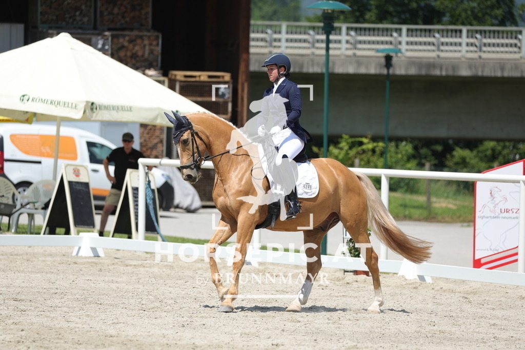 0P6A1464 | Willkommen bei Brunnmayr - Design & Fotografie – Ihrem Spezialisten für Reitturniere und Pferdeveranstaltungen in Oberösterreich, Salzburg und Bayern! Seit über 17 Jahren sind wir leidenschaftlich dabei.