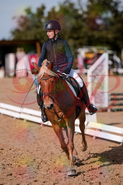 2026_10_03_Siefer-Hof_120032_Z81_02572398 | Professionelle Reitsport-, Turnier- und Eventfotografie von Robert Broda. Galerien mit ausgewählten und bearbeiteten Bildern direkt online ansehen und bestellen.