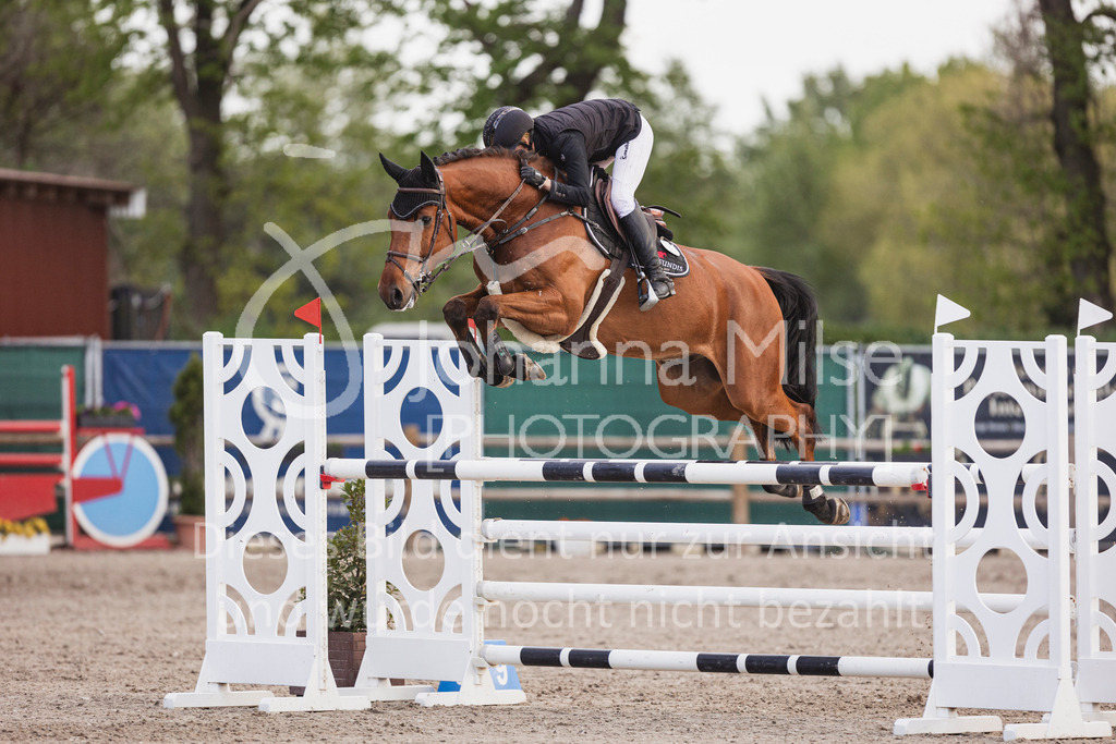 250506_Mühlen_SprPf-M-532 | Deine schönsten Turniermomente als professionelle Fotos! Entdecke hochwertige Pferdesport-Fotografie im Online-Shop. Jetzt Fotos finden & bestellen!