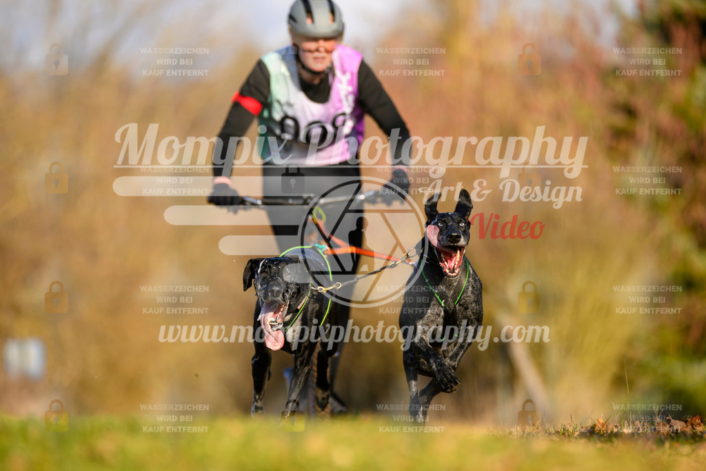 MompixPhotography_10Schwabentrail2026_SO_Scooter-11 | PayLife