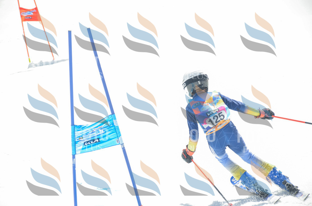 _ELE6061 | holidayphoto