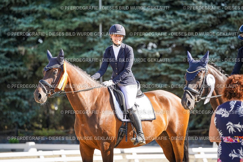 DSC00113 | Pferdegrafie