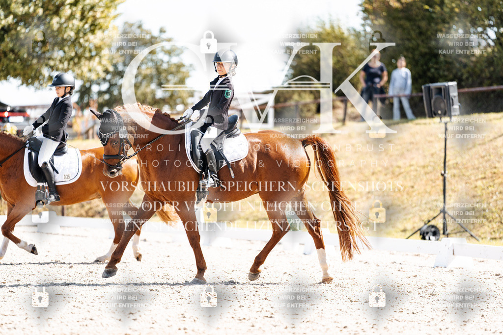 CK903056 | Turnierfotografie Pferdefotografie Trier Rheinland-Pfalz Pferdesport Reitsport Tierfotografie Sportfotografie Pferdevideo Pferdevideografie Equestrianvideography equestrianphotography  - Realisiert mit Pictrs.com