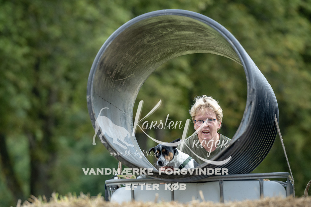 1027_ZZ92012 | kk-dogfotos