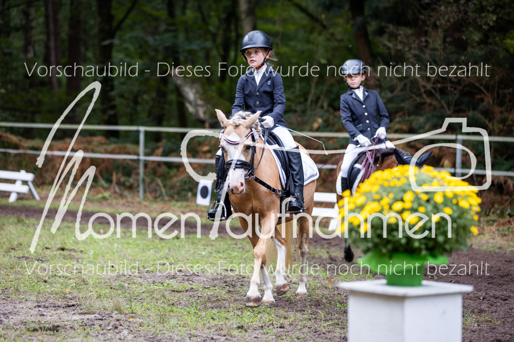 HB-Reiter-WB-080 | MomenTaufnahmen Pferdesportfotos