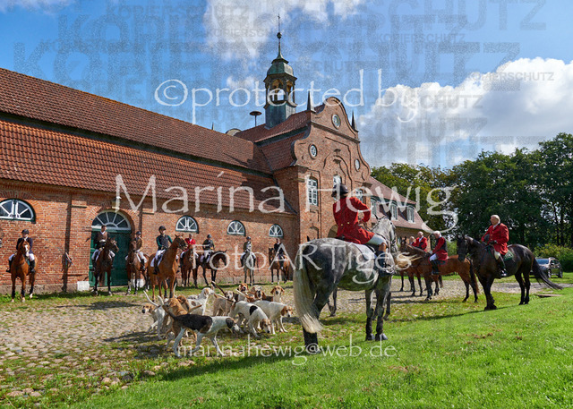 DSC01355_Marina Hewig | Fotografie, FotoArt, PferdesportArt, Pferdesportfotografie, Landschaftsfotografie, Reisefotografie, Reise, Pferde - Realisiert mit Pictrs.com