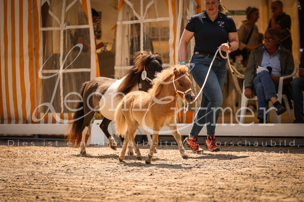 01.DoKR00162 | Leoni Ertmer Photography - Realisiert mit Pictrs.com