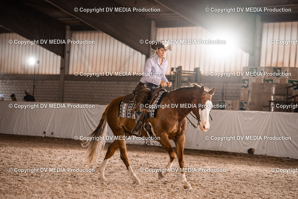 ZH300558 | dv-media-shop - Realisiert mit Pictrs.com