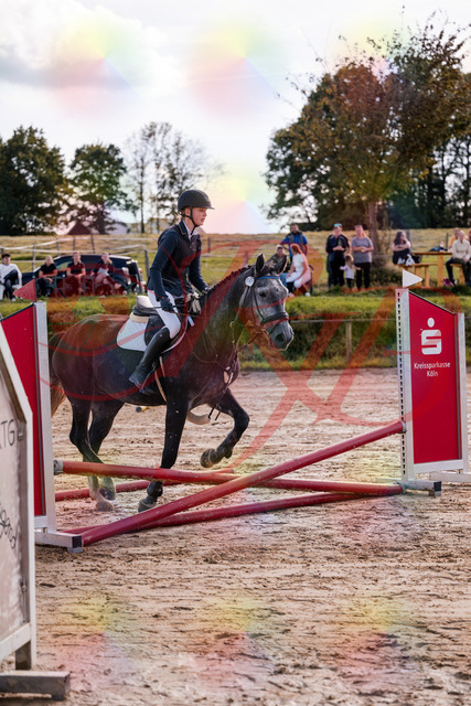 2026_10_03_Siefer-Hof_144848_Z81_26384715 | Professionelle Reitsport-, Turnier- und Eventfotografie von Robert Broda. Galerien mit ausgewählten und bearbeiteten Bildern direkt online ansehen und bestellen.