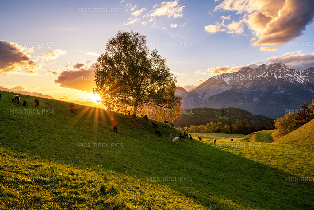 DSC_6455-HDR-Bearbeitet-2 | Tirolpics