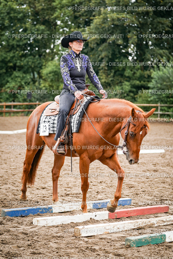 DSC03706 | Pferdegrafie