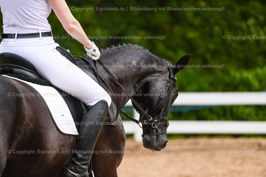 20230715_05_Dressurprüfung Kl.A++_0282 | equistock