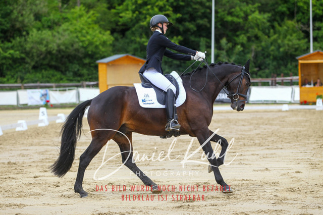 DKP46357 | Turniersportfotografie; Pferdefotografie; Dressurfotografie