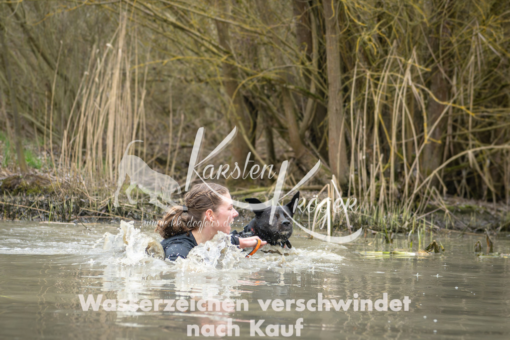 1346_ZZ92579 | kk-dogfotos