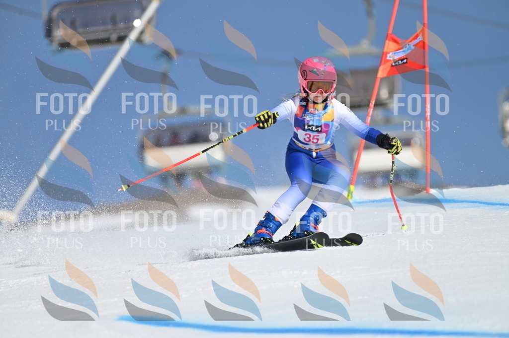 BGV_8242 | holidayphoto