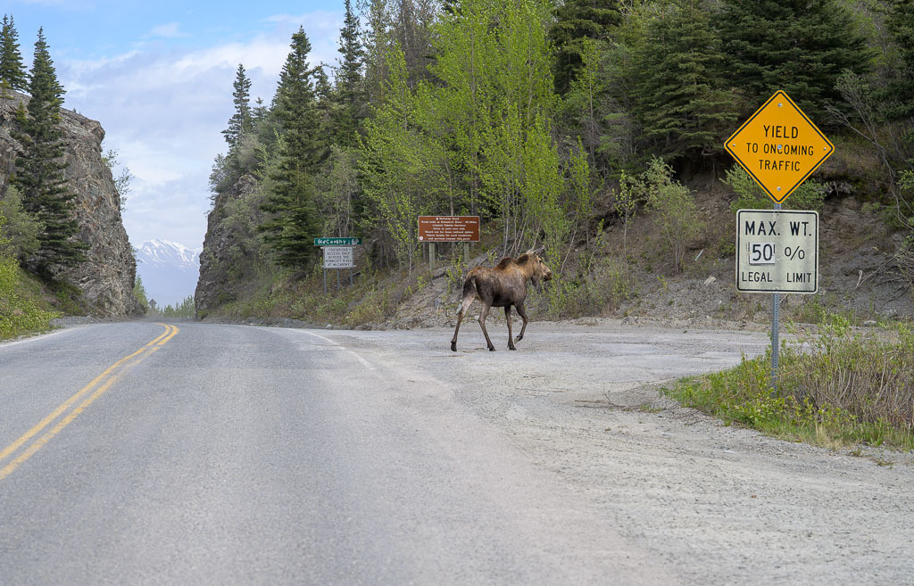 Alaska | Chitina - Realisiert mit Pictrs.com