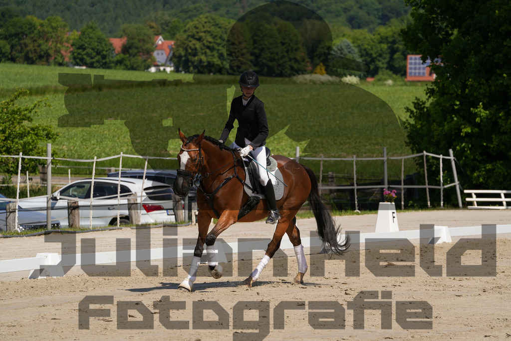 DSC03212 | Julian Held Fotografie - Realisiert mit Pictrs.com